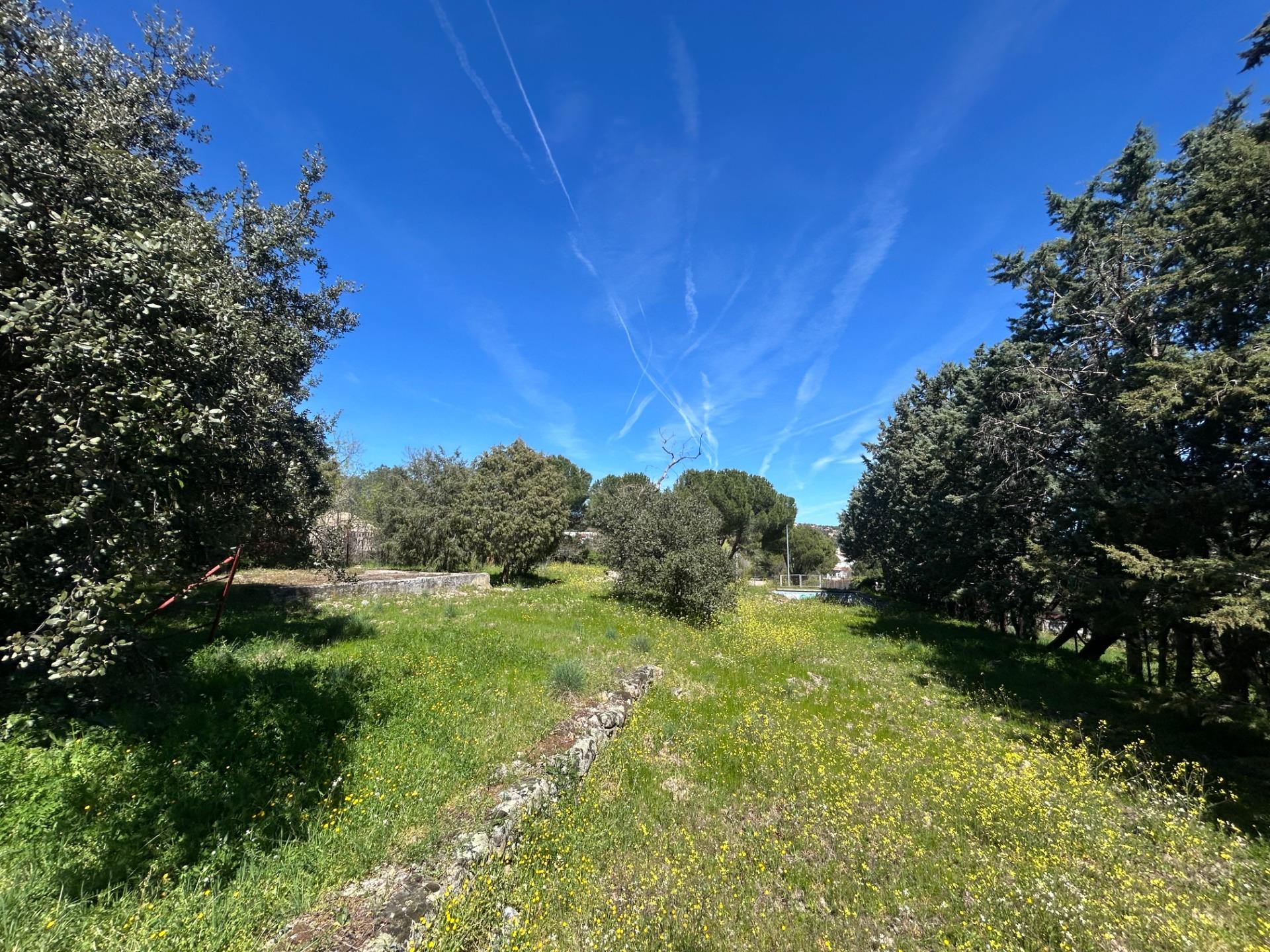 Finca en venta en Las Rozas