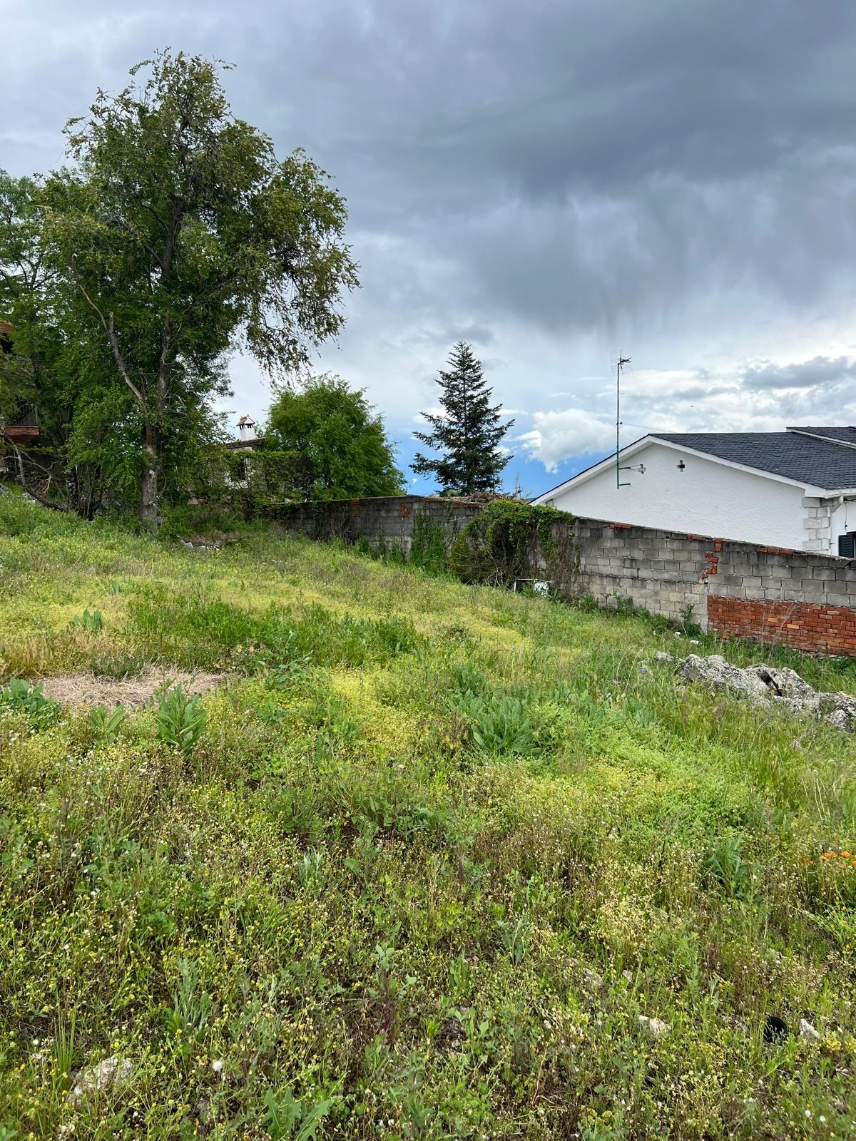 Fincas en venta en Miraflores de la Sierra